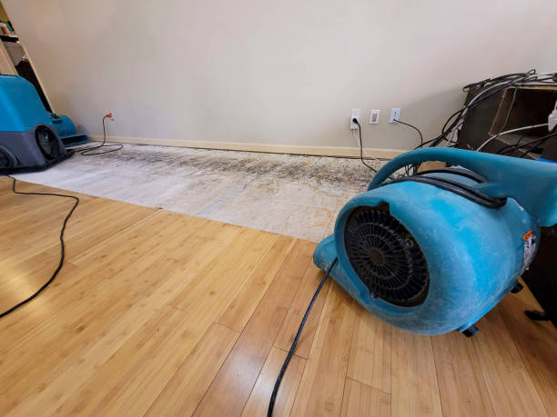Professional Water Damage Repair technician working in Bergholz, OH